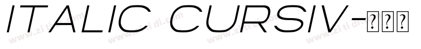 Italic Cursiv字体转换 Italic Cursiv字体转换